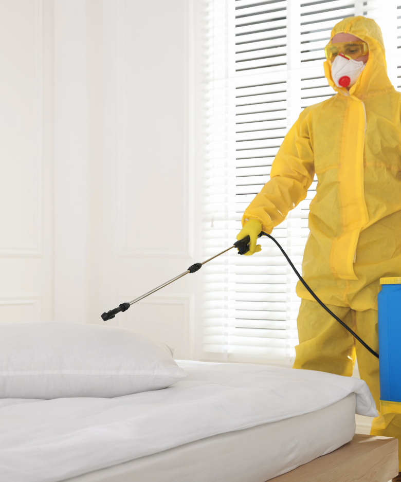 Professional Pest Control Team in Cherry Gardens